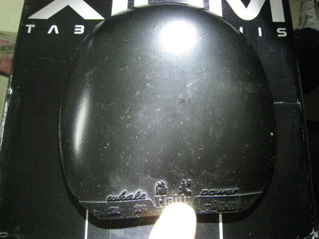 ���޻������޻�ʡ�񡢹��ҶӺ��������׽�