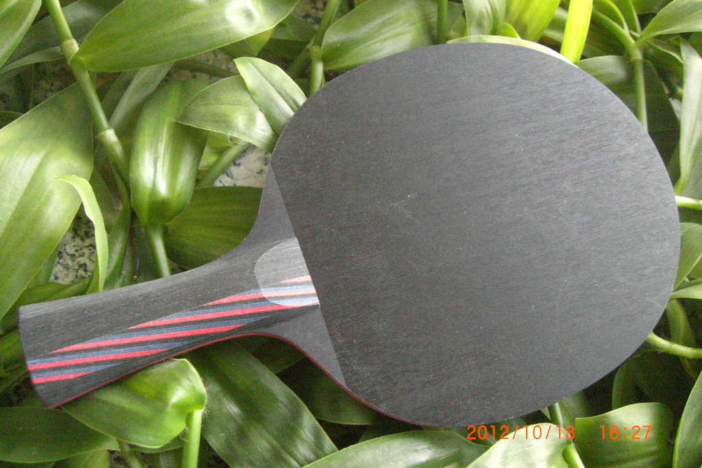 �����۸���ð壺09����������̼����֧���ͽ�Ƥ��