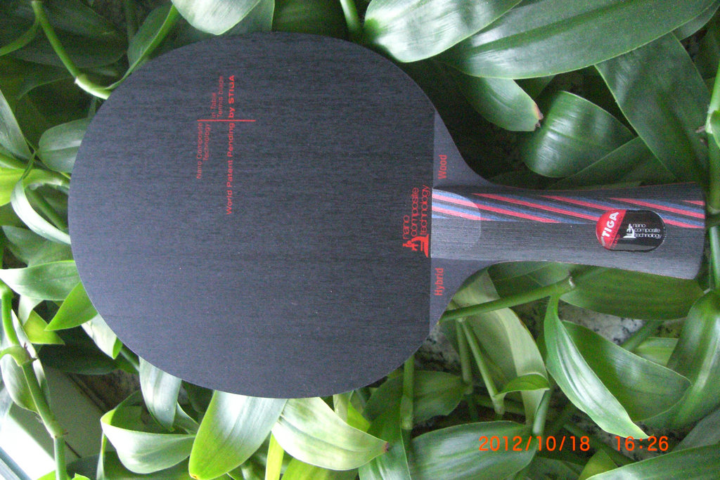 �����۸���ð壺09����������̼����֧���ͽ�Ƥ��