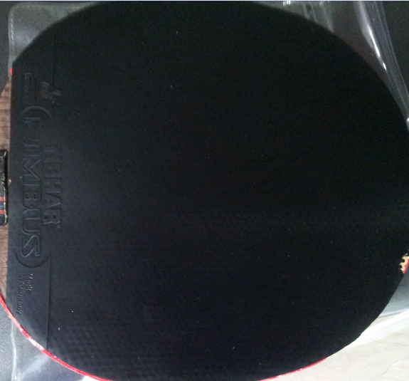 ��NEO�������� F1 �տ� �ײ˼�