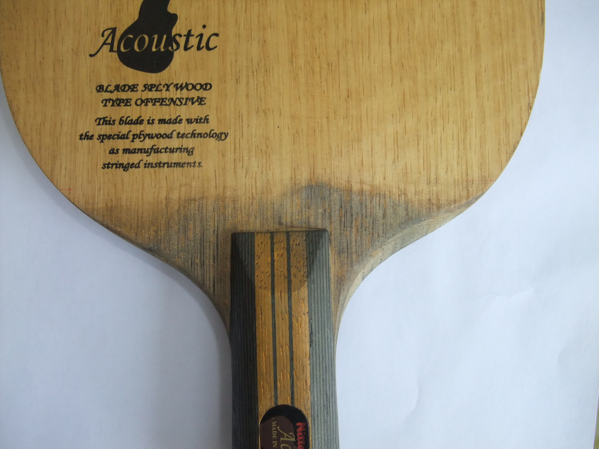 ֧������NITTKUľ����