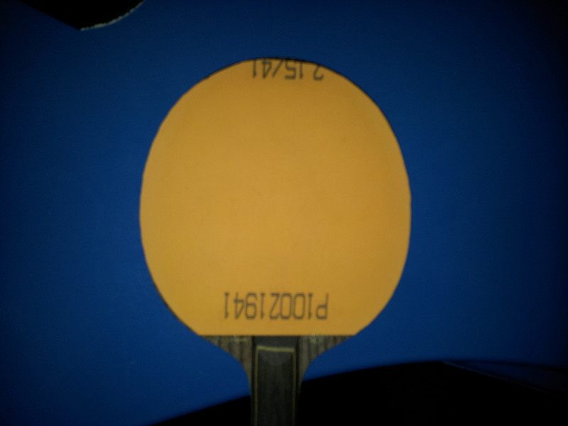 ��yeo  fl  �Լ����齺Ƥ