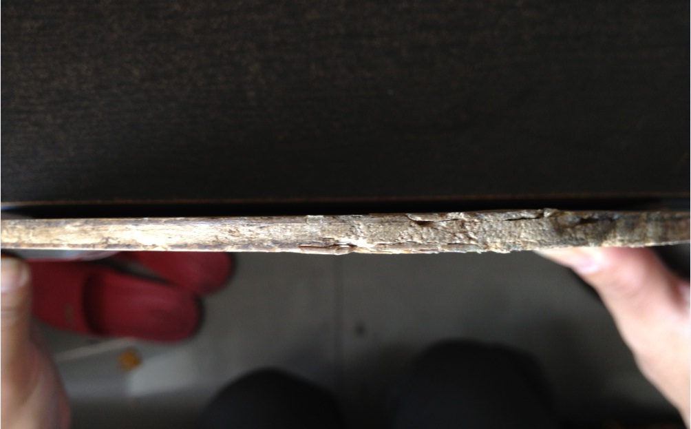 [ԭ��]��С��С���ټ��Ϻ�˫ϲ