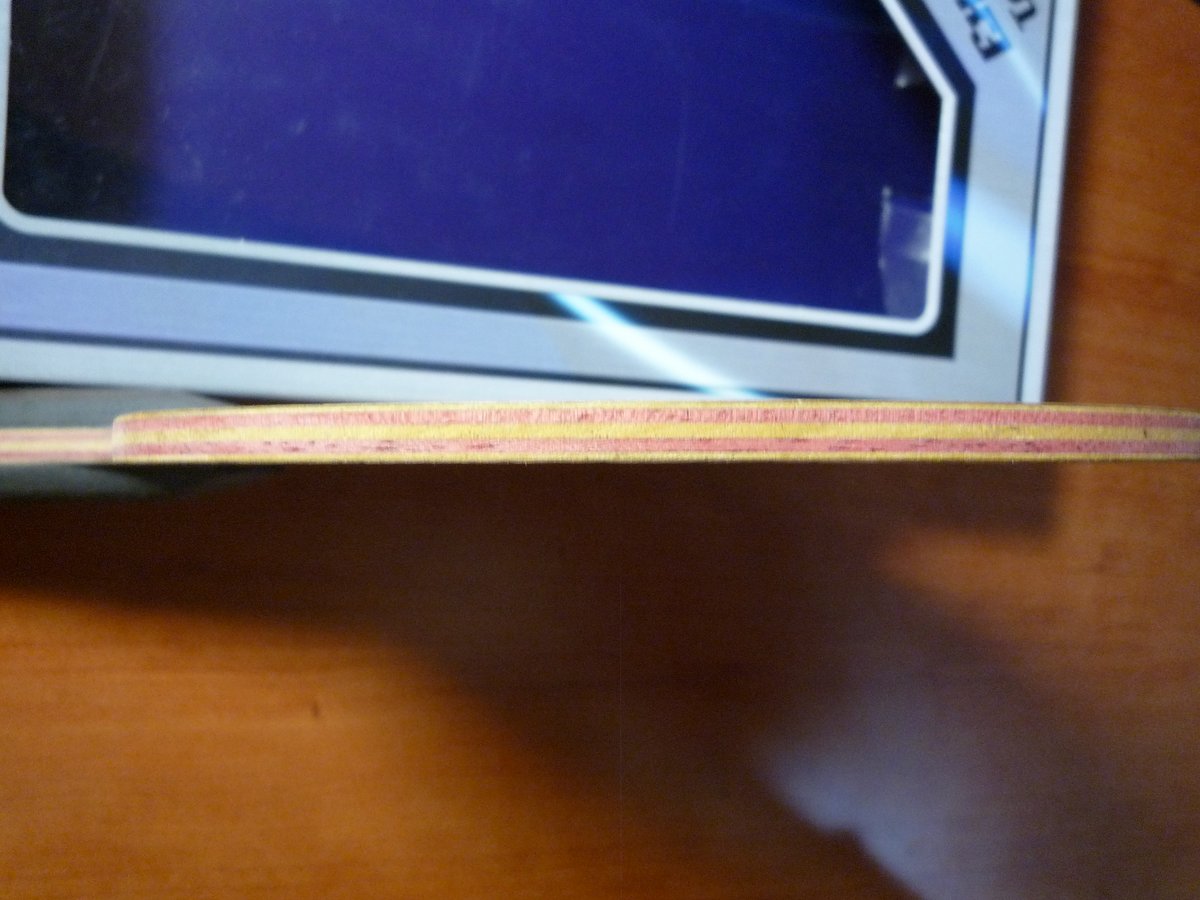 ����֧��������ϵ�������񡿡������𡿡�������