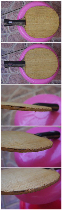 �����µ� ��ݮ,Stiga TUBE OFFENSIVE WRB, OC-CR-WRB