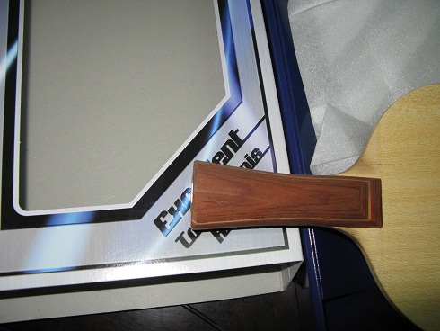 ������AMULTART��������R5