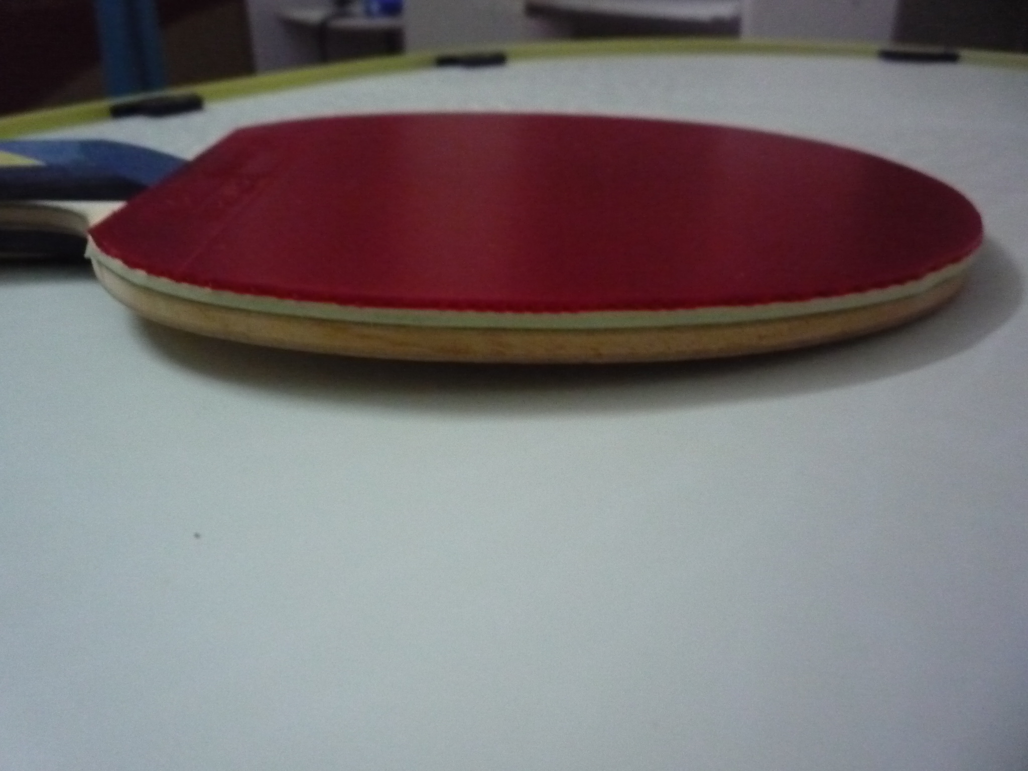 ����zlf   ��   ������zlc