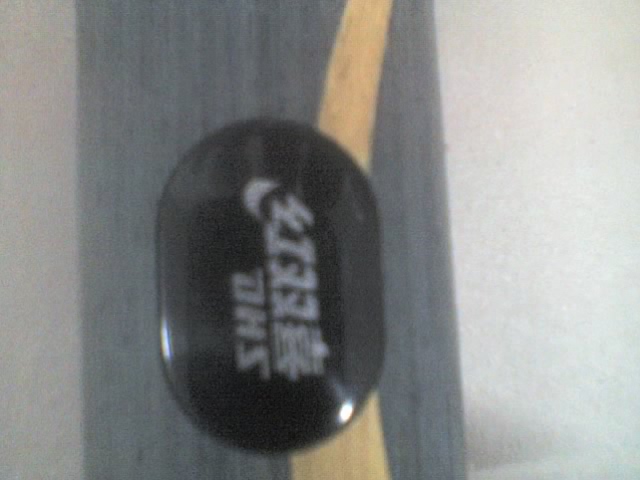 ���ױ�����