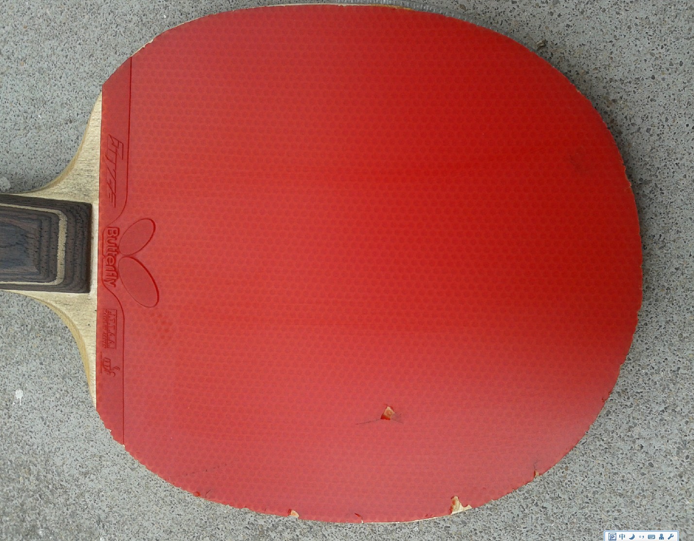 ����������ľ5��õ��XO����������