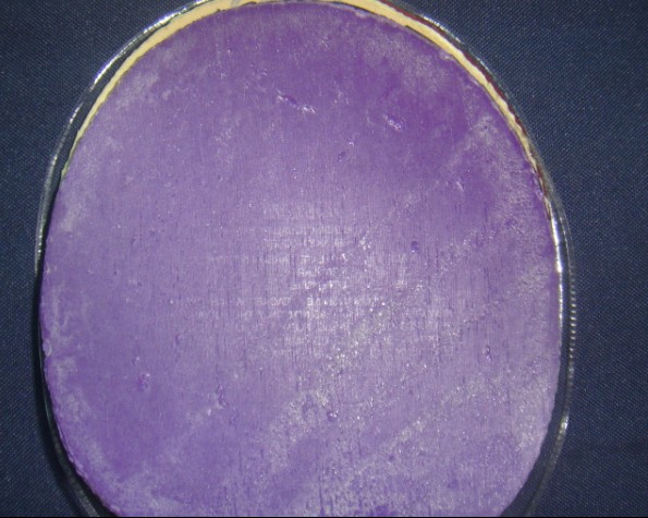 UFO+�������޻�����VIS���棩~~��һ��Ʒ��Ϻõ����������İ��棩