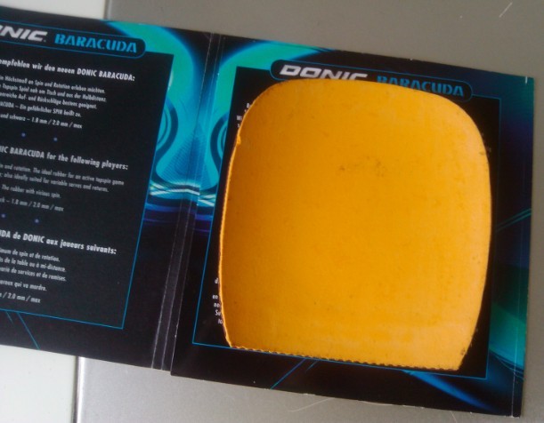 ������ ����ֱ����baracuda