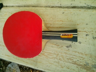 ��һ�Ѷ���