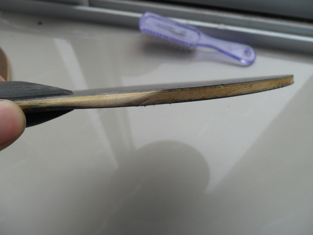 ��һ����������5,5.4רҵ��ģ������۸�50����