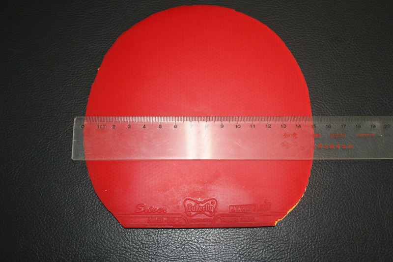 ��3���׽�����ʡ��39��һ��һ�죬��ɫ˹����