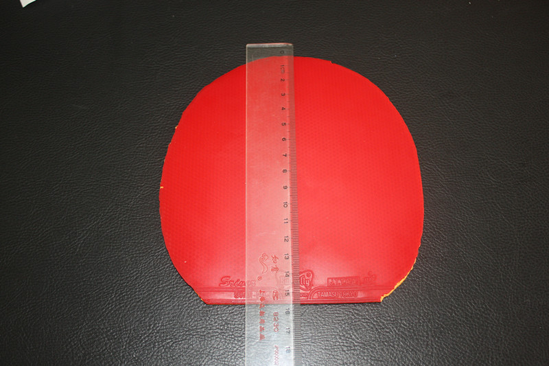 ��3���׽�����ʡ��39��һ��һ�죬��ɫ˹����