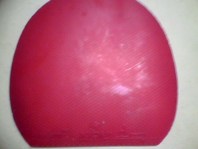 ����Ƥ............................