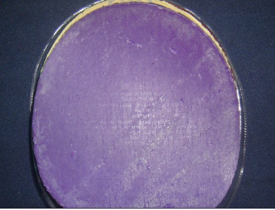 ��VIS���潺Ƥ