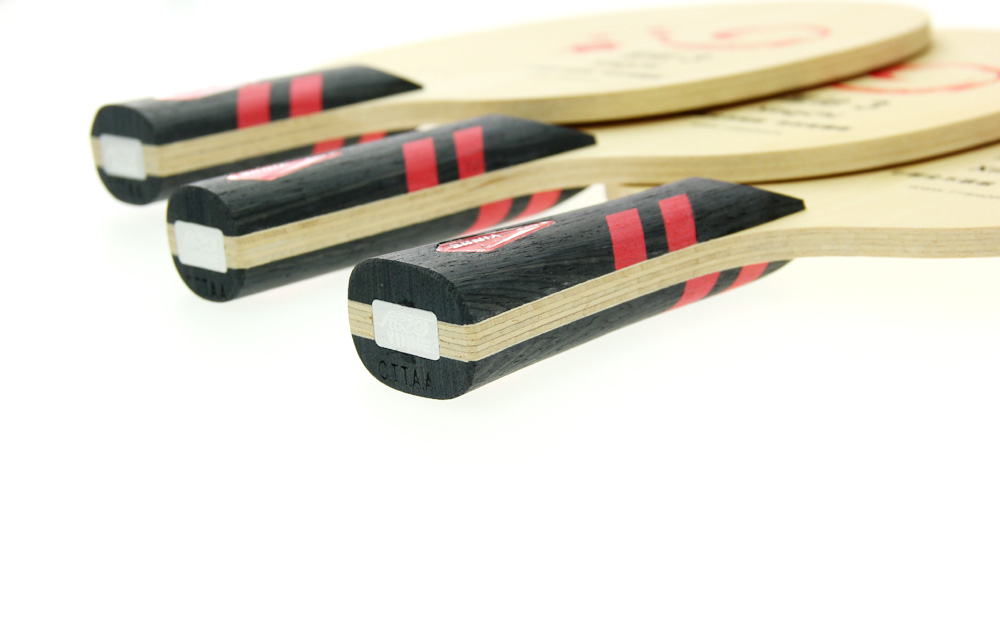 ͼ����һ���³����ġ��ǳ�XINGCHI����