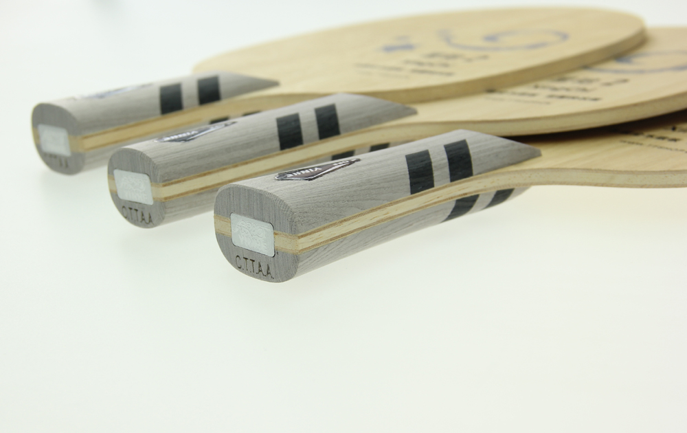 ͼ����һ���³����ġ��ǳ�XINGCHI����