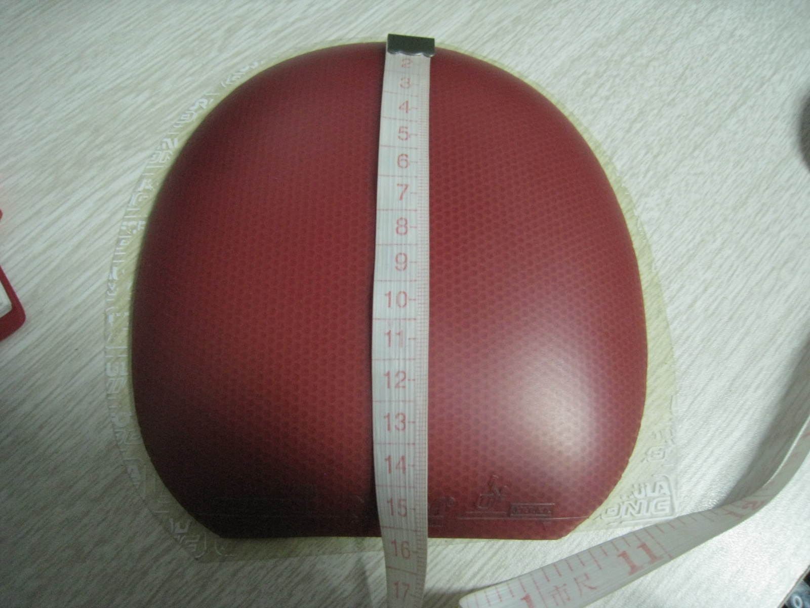 �����Ž�Ƥ F1 �������� ŷ2  ES  ����3   ���Ǻ��  �гߴ��Լ�����