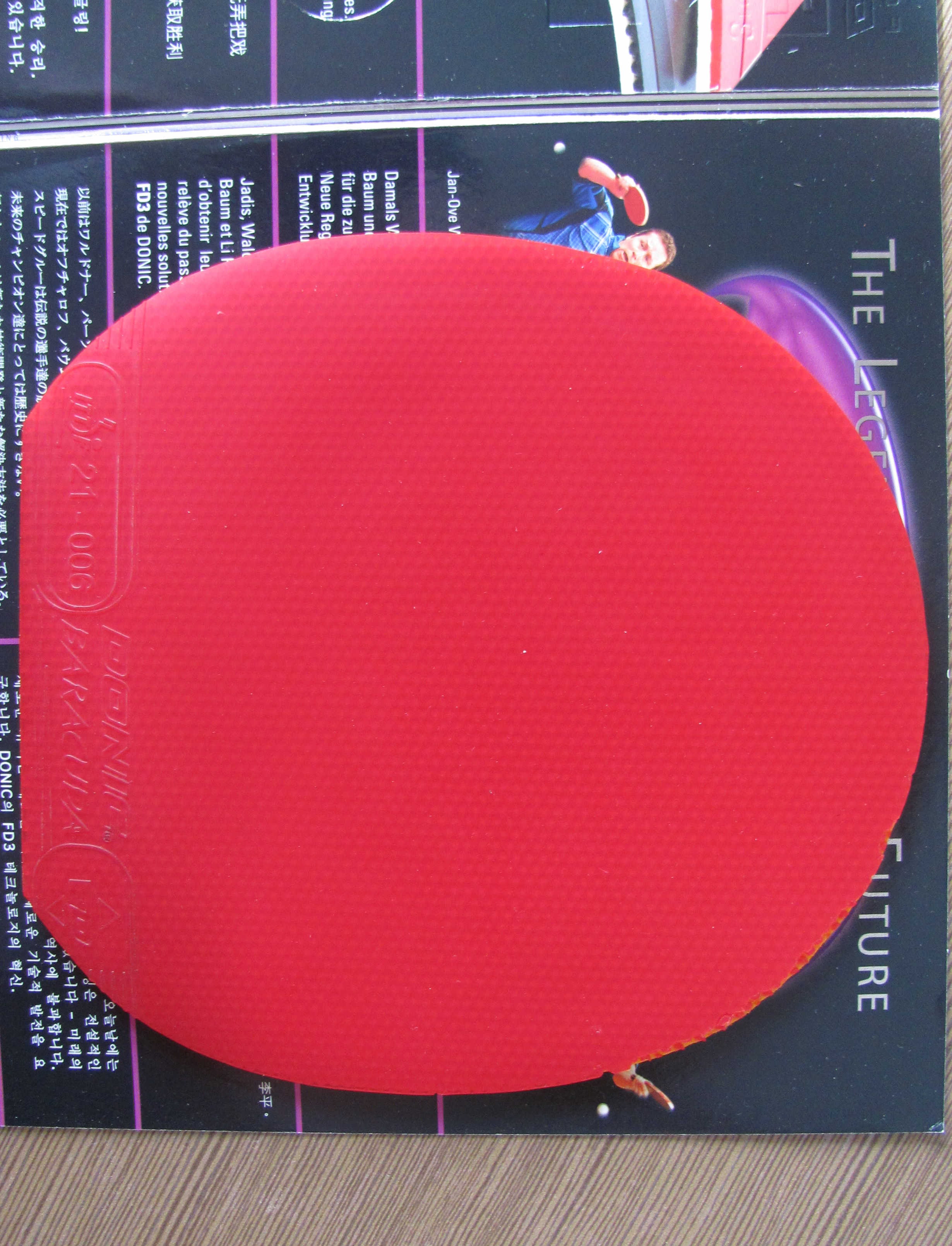 ���л���̴5 �����齺Ƥ