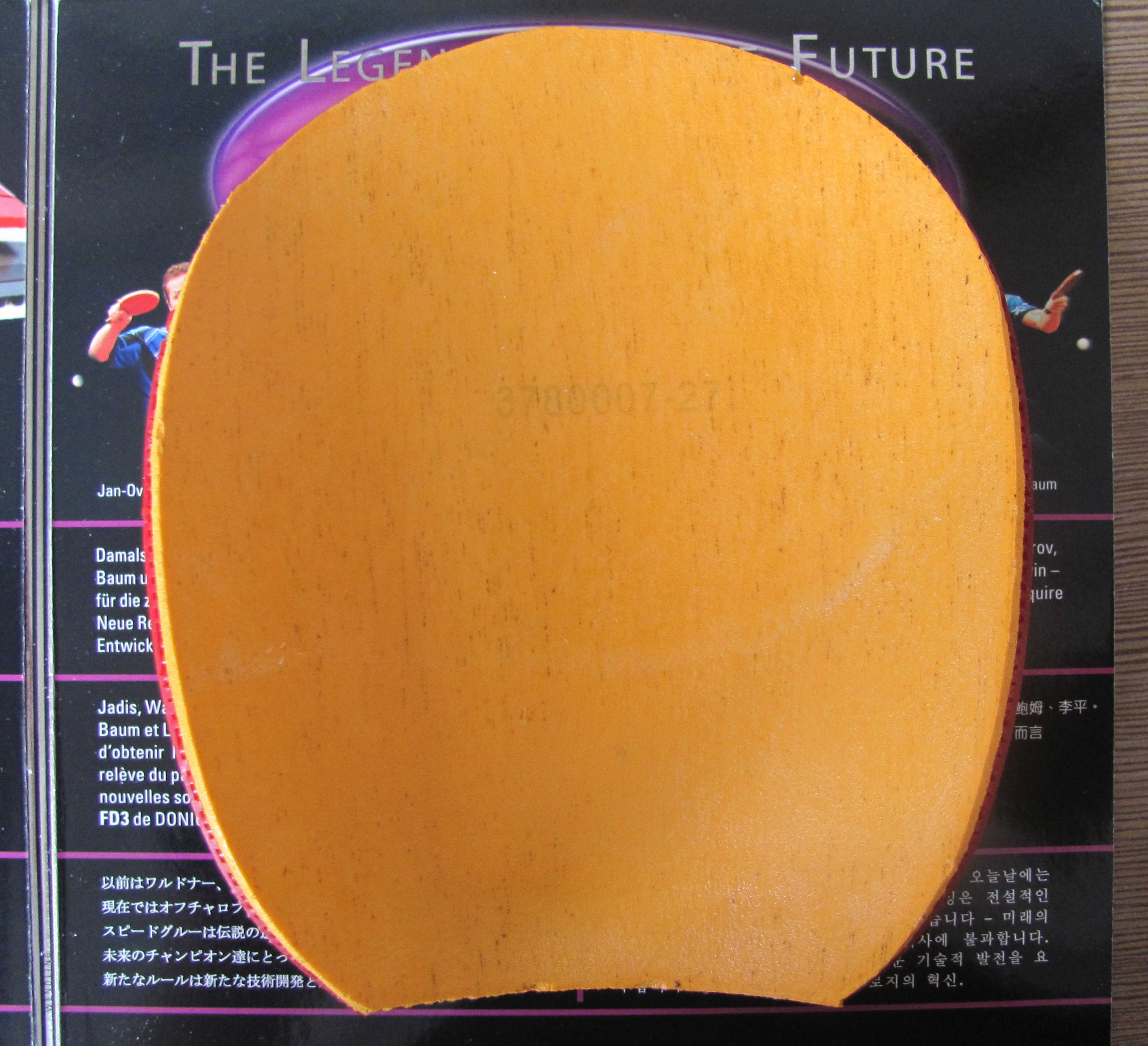 ���л���̴5 �����齺Ƥ