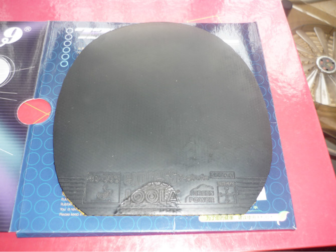 ���ٹ��˳�����~~~~