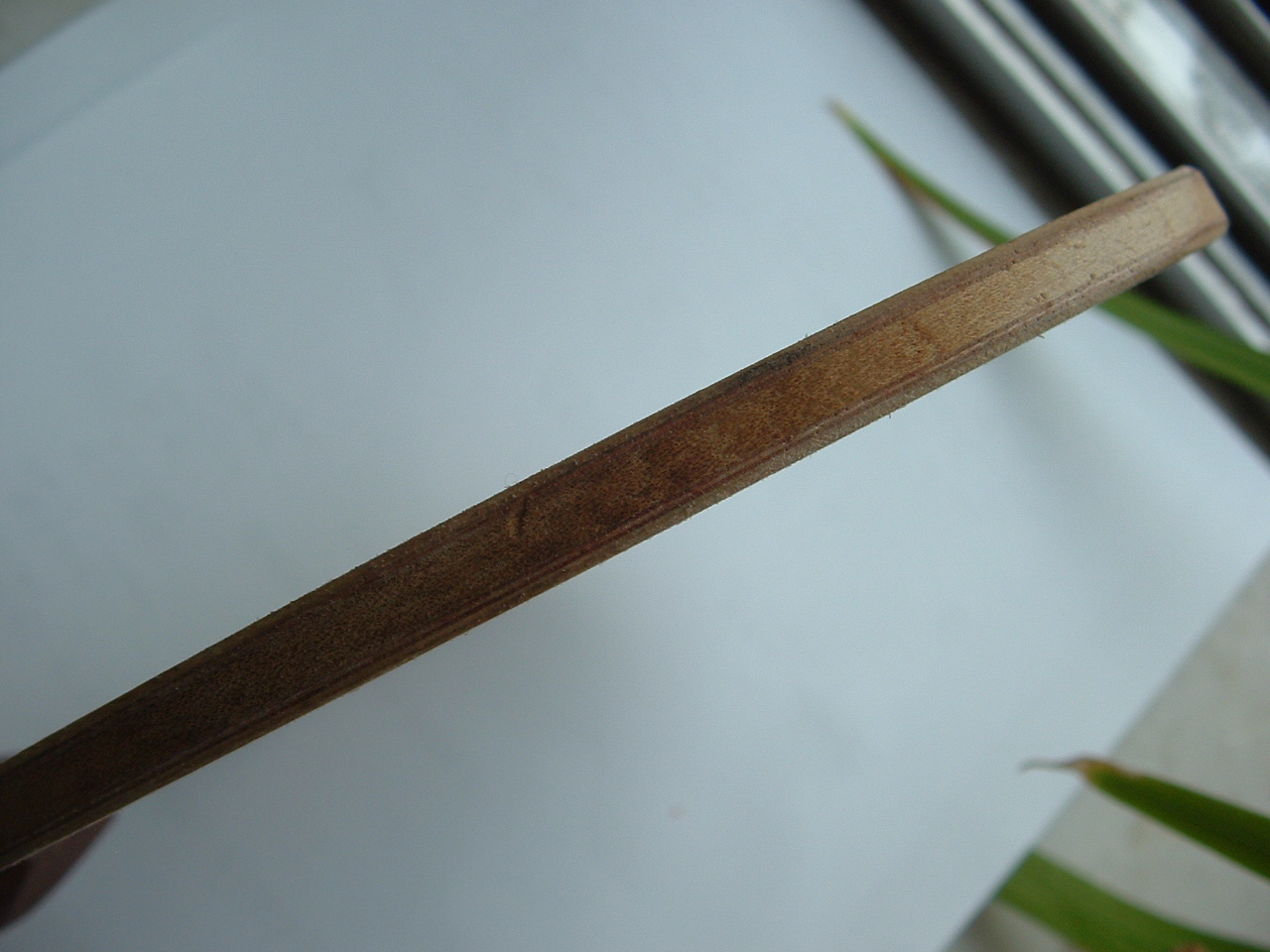 ���ľֱ�������80����֧��������