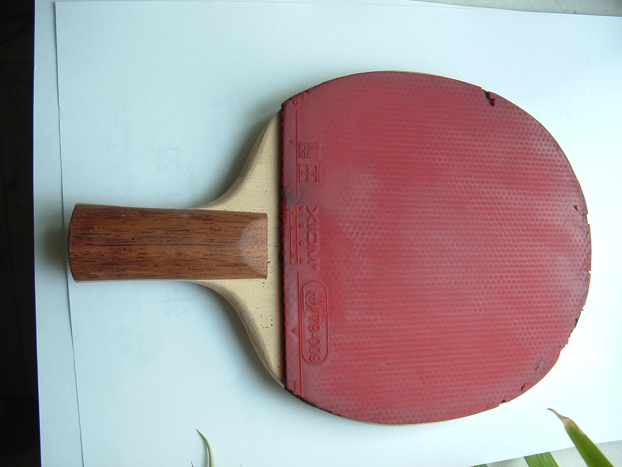 ���ľֱ�������80����֧��������