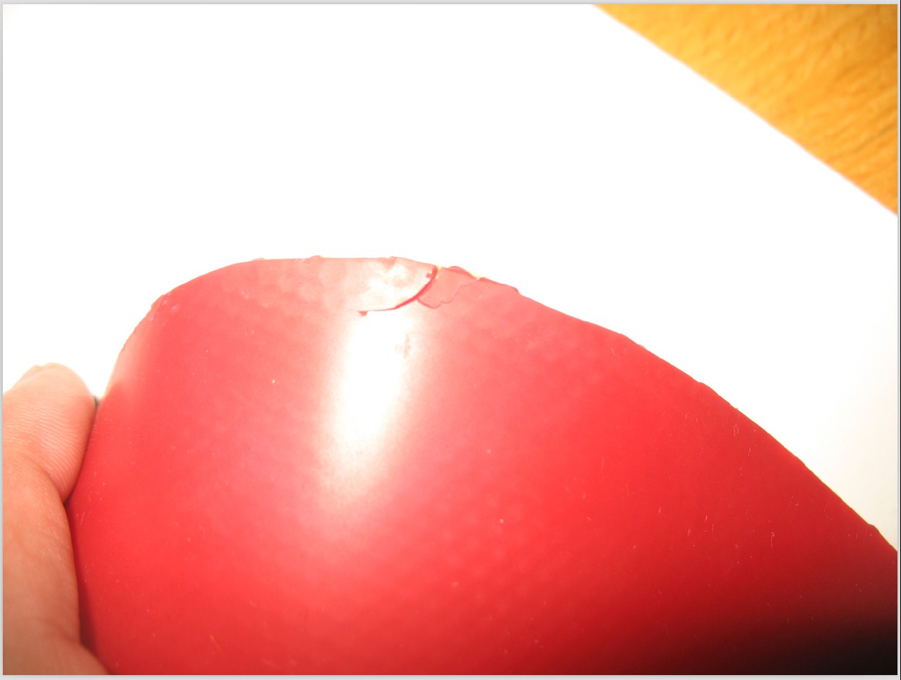 ��֧�����������ɫCALIBRA LT SPIN