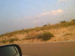 [ԭ��]��CL����4����280����