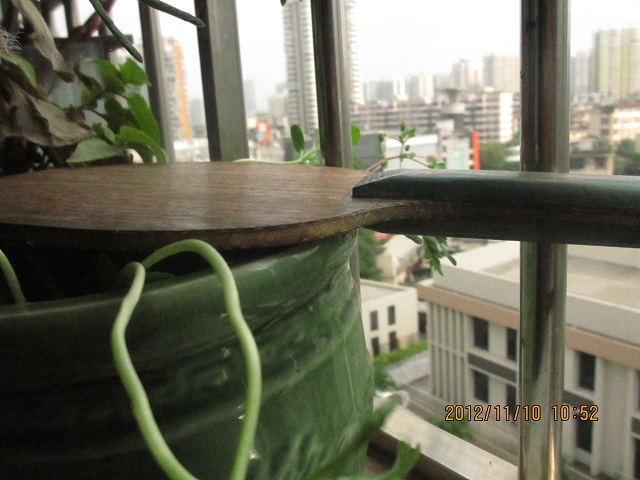 ϲDIY̼