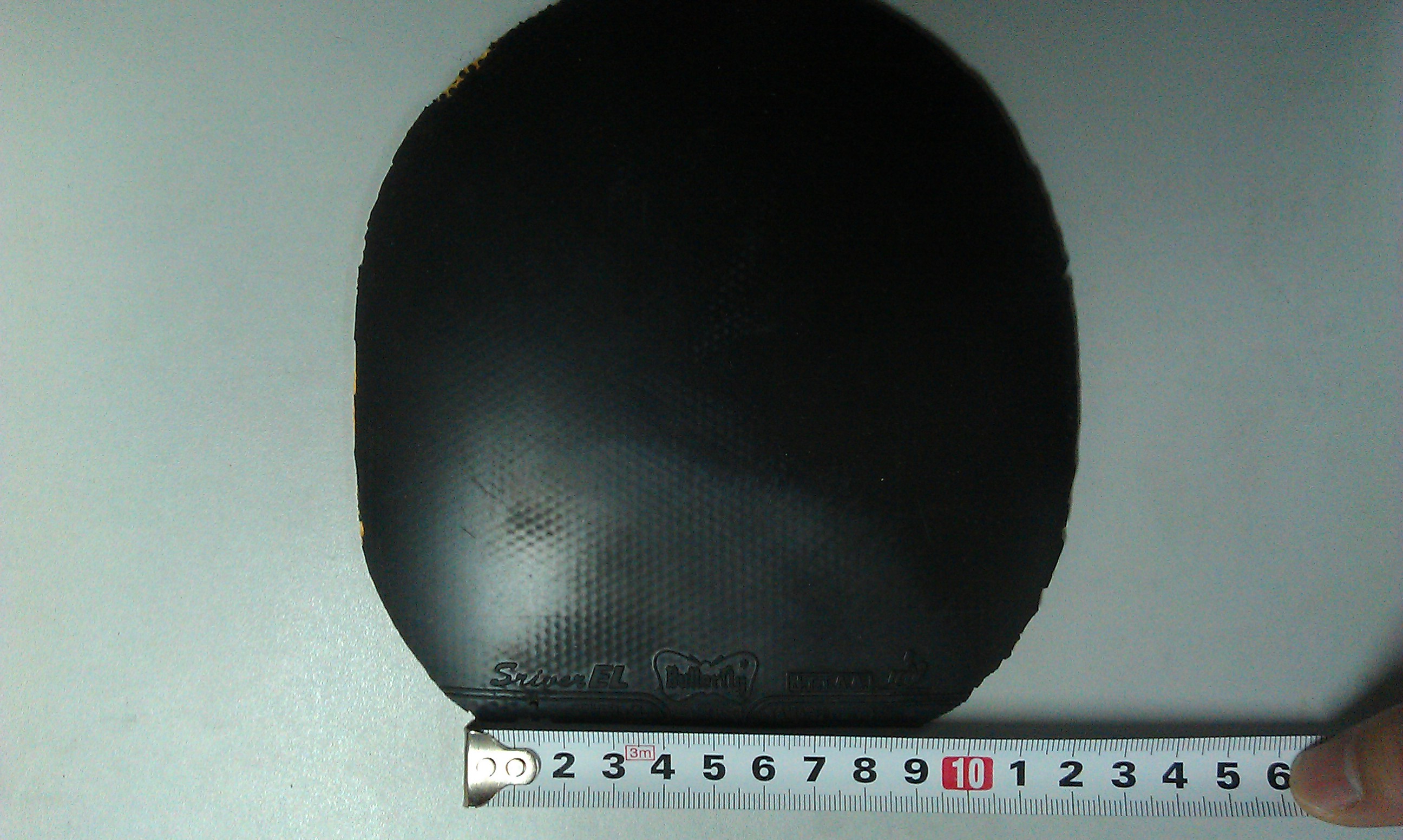 ��˹����EL���켫�����������100