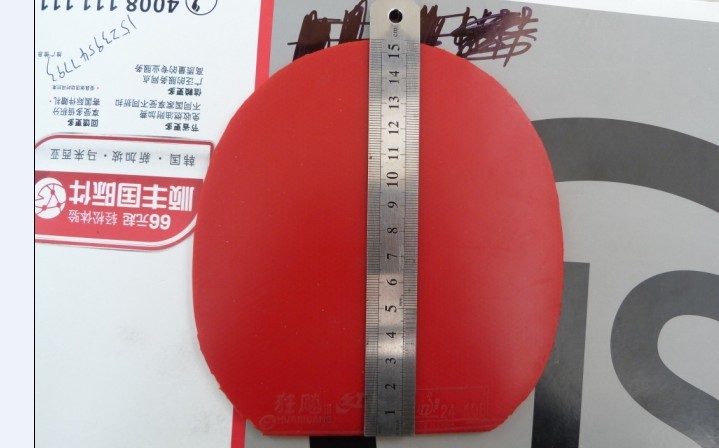 ��С�����տ���08���ٵ��׽�