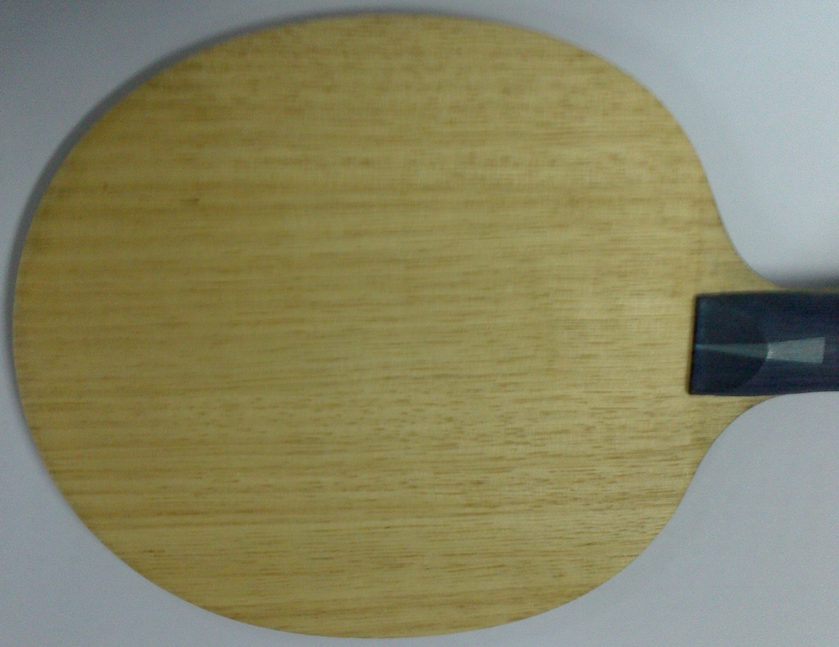 ������U1���Ͷ�����