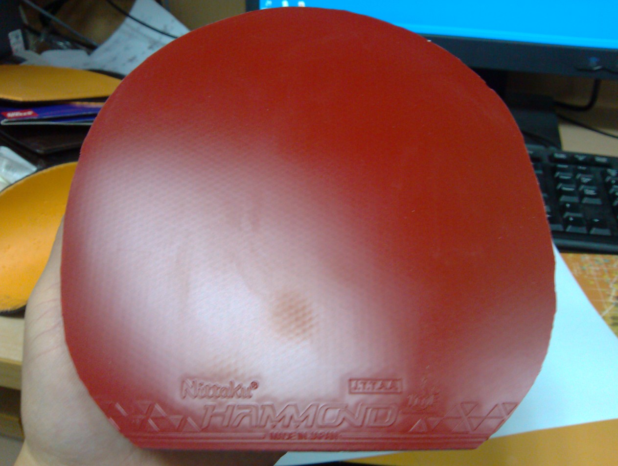 [�Ƽ�]�Żݳ�9.5�����࣬9.5���տ�39�� 40�ȣ��켫���200