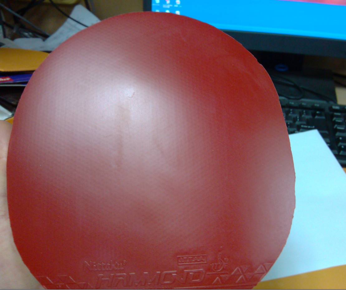 [�Ƽ�]�Żݳ�9.5�����࣬9.5���տ�39�� 40�ȣ��켫���200