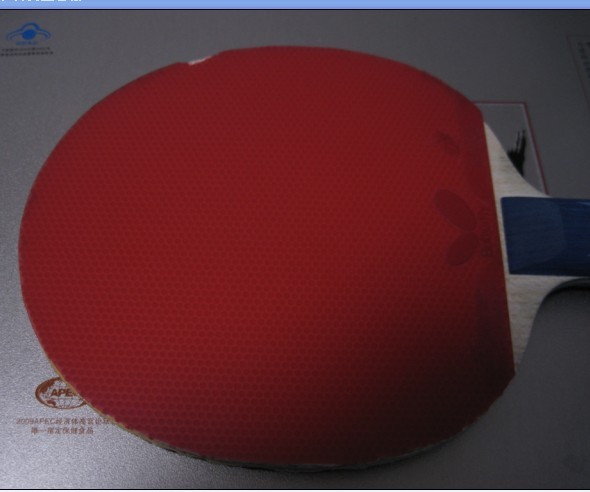 BRYCE SPEED+SRIVER L ����