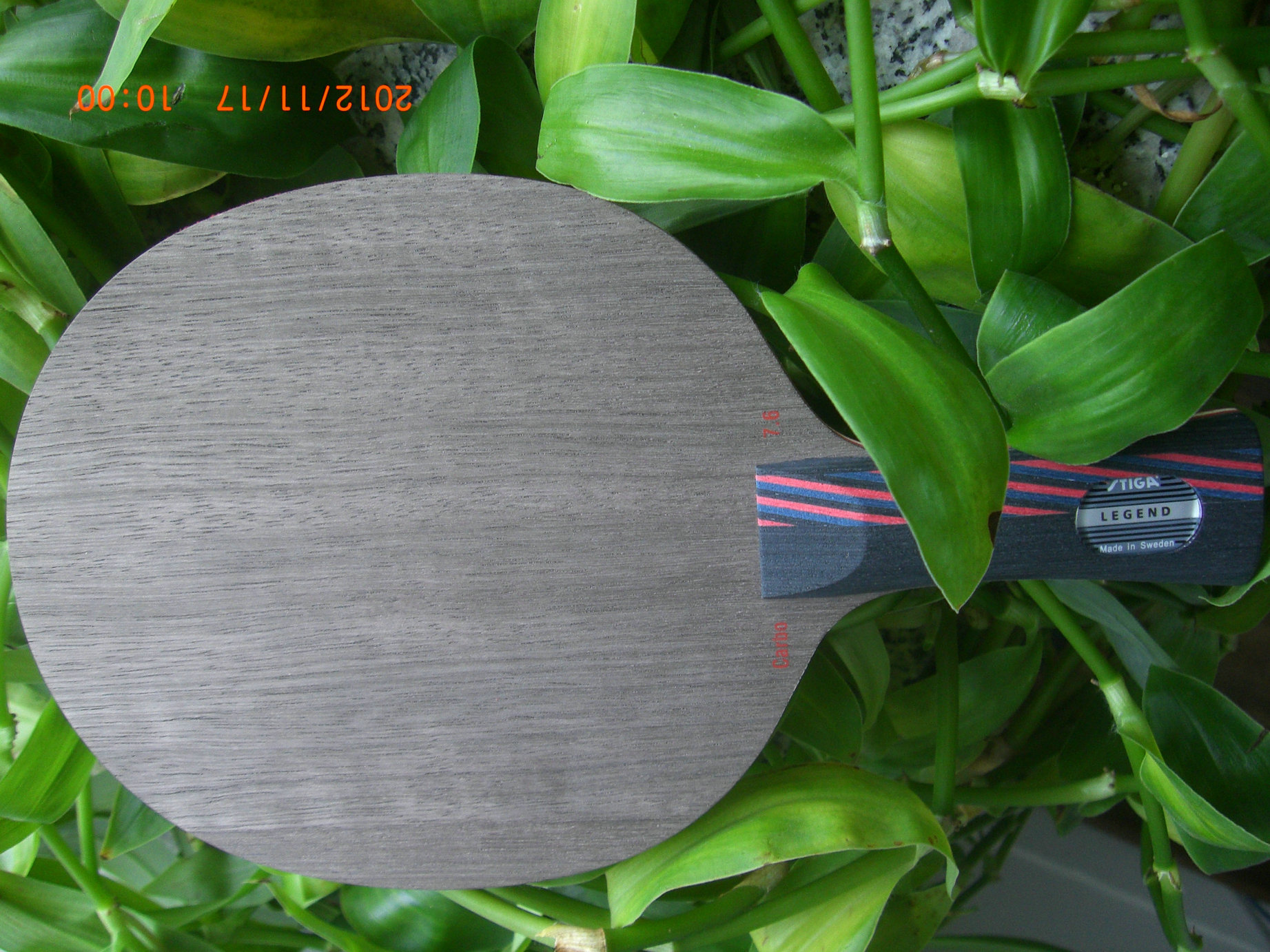 �������������������ڡ����������Է�̼����֧ȫ��ŷ����̼��������Ʒ���ѣ�֧����������������