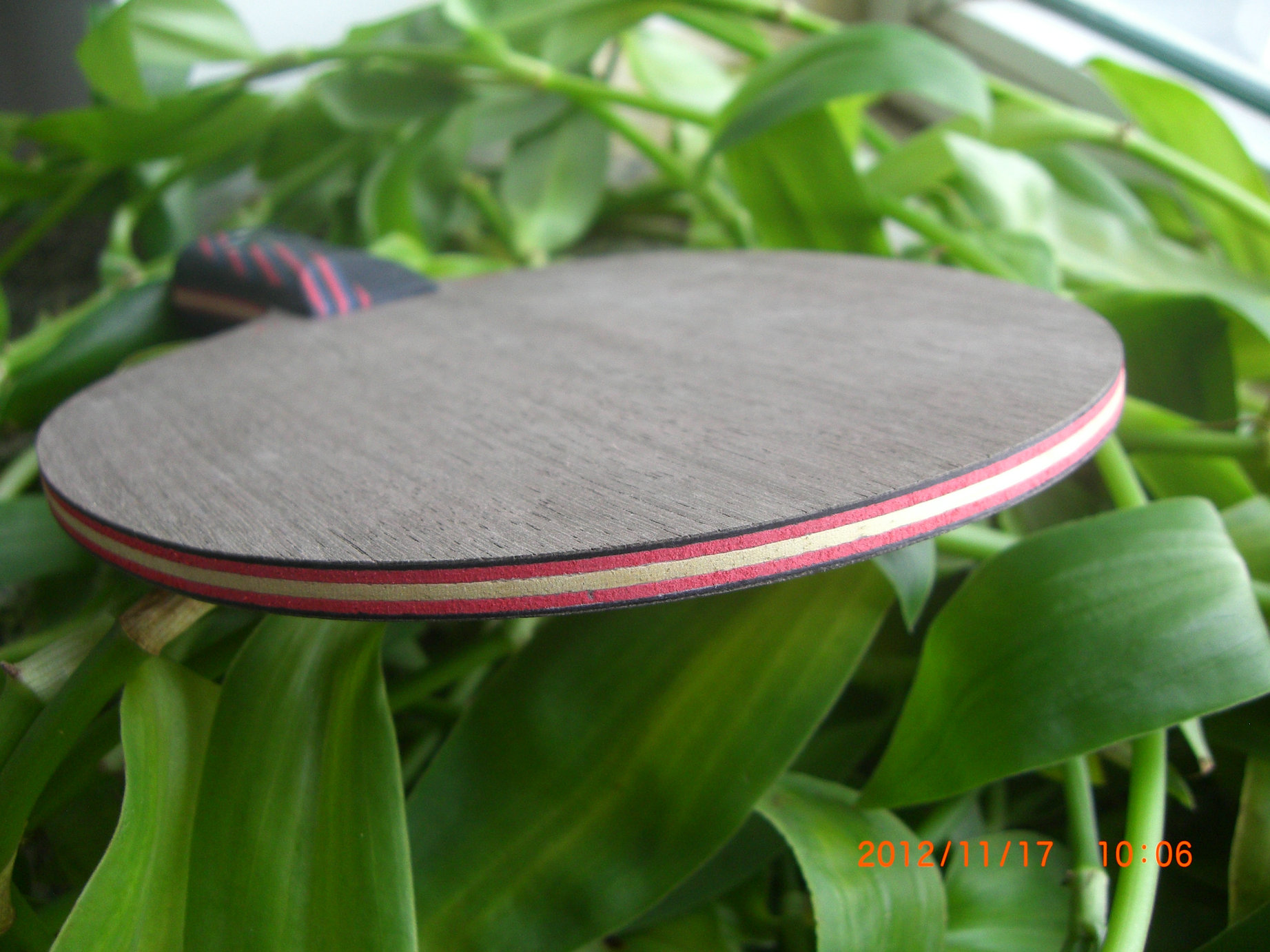 �������������������ڡ����������Է�̼����֧ȫ��ŷ����̼��������Ʒ���ѣ�֧����������������