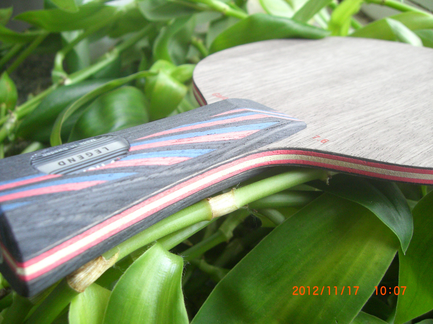 �������������������ڡ����������Է�̼����֧ȫ��ŷ����̼��������Ʒ���ѣ�֧����������������