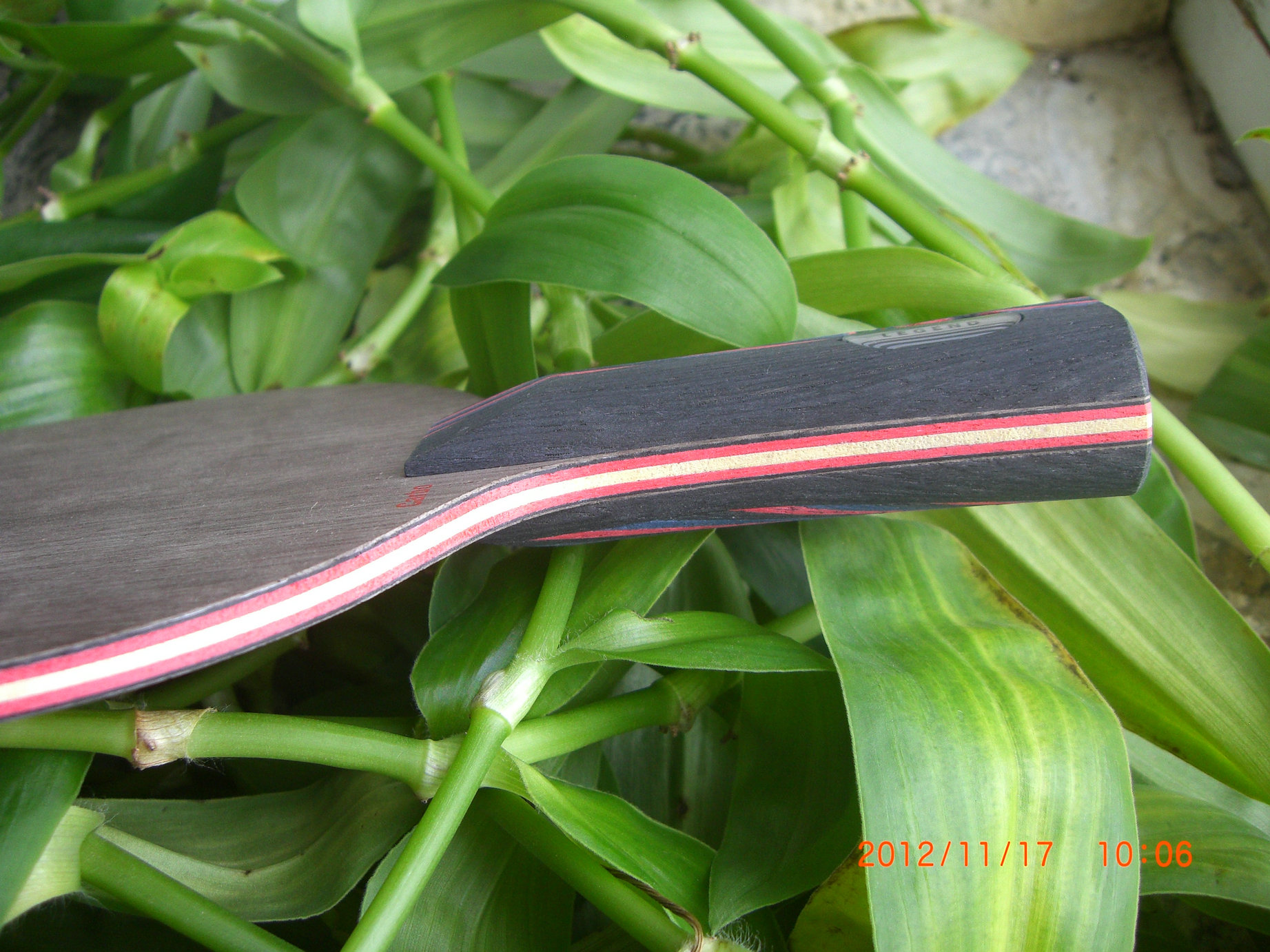 �������������������ڡ����������Է�̼����֧ȫ��ŷ����̼��������Ʒ���ѣ�֧����������������