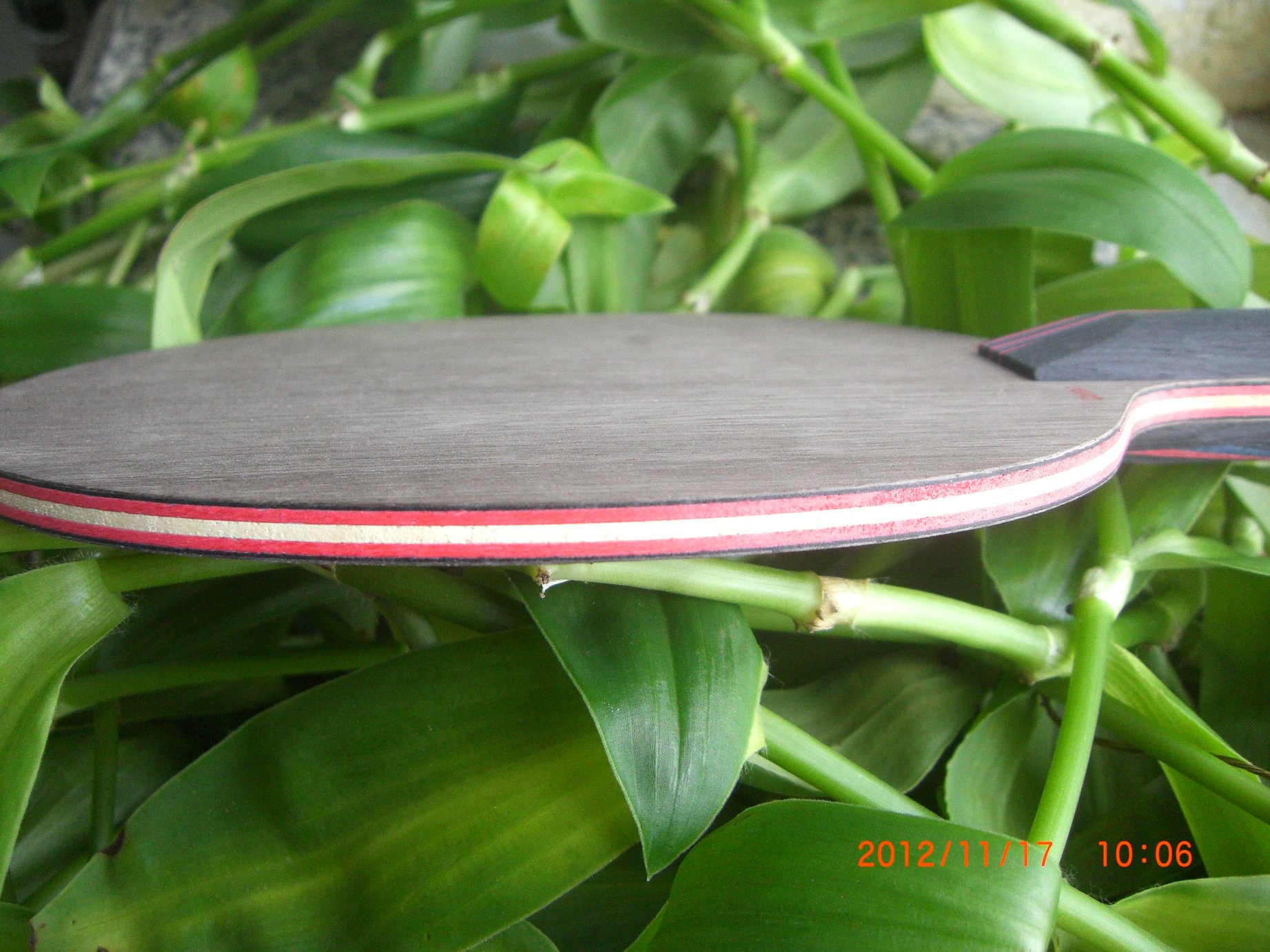 �������������������ڡ����������Է�̼����֧ȫ��ŷ����̼��������Ʒ���ѣ�֧����������������