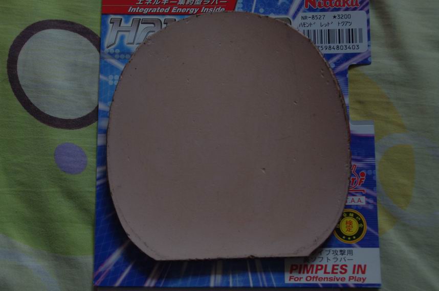 ����׽�����