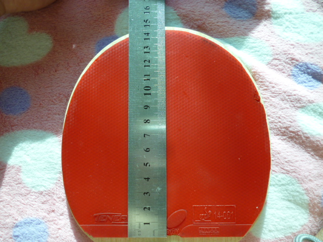 ֱ�������T05�׽���180Ԫ���ʳ�