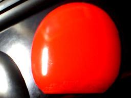 ����EL S-FX ʡ�� �켫�����׽�