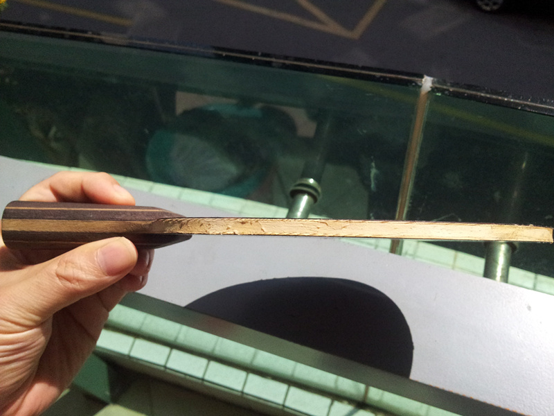 ���Ÿ��ӣ��س�ŷ���̴5