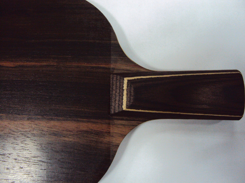 ����̴5���ѳ���