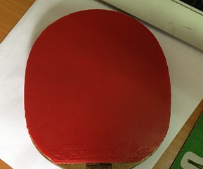 �����ϳ˵���������,��ˮ��100����,630437751