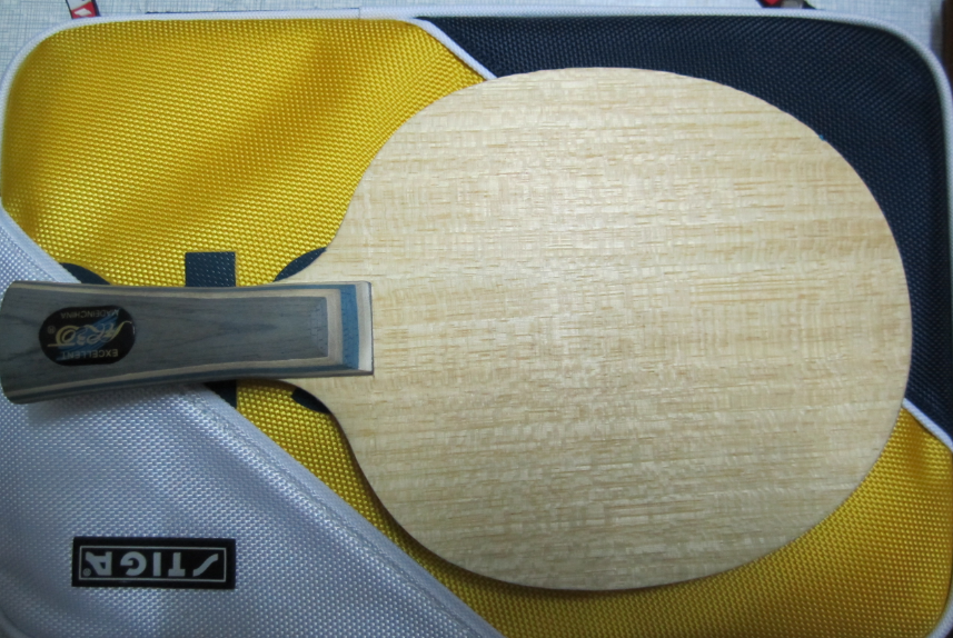 һ�Ĵ�ľ�ˣ�������FL����սVIS